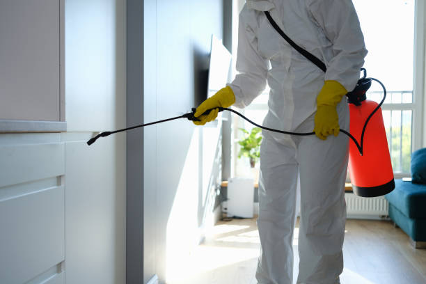 Best Crawl Space Mold Removal  in Duboistown, PA