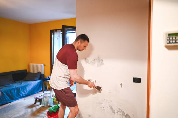 Best Residential Mold Removal  in Duboistown, PA